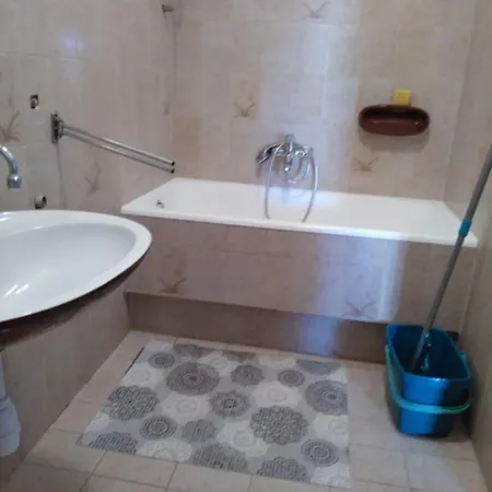 Frketic 扎博里克