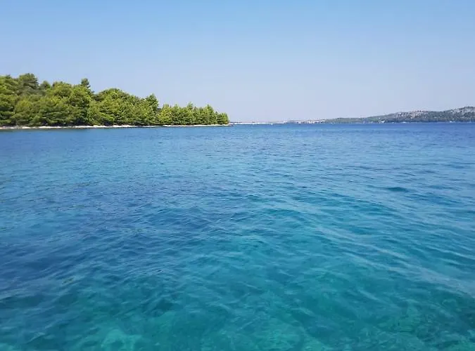 Frketic * 자보리치